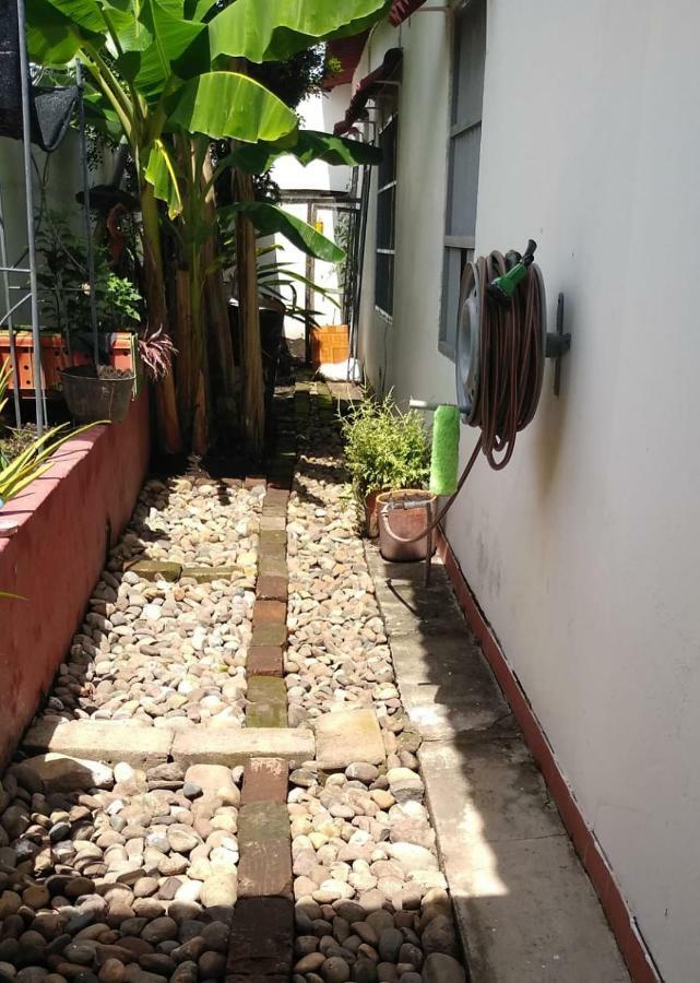 هوندا Habitacion Casa Las Aves المظهر الخارجي الصورة